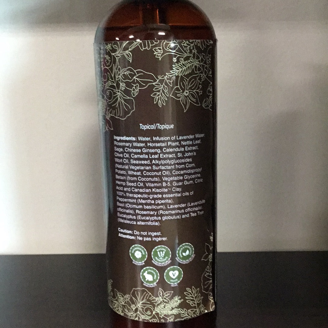 Back To Earth- Eden Kisolite Clay Shampoo, Hand & Body Wash- 480 ml