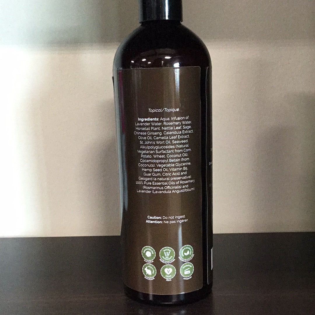 Back To Earth- Rainforest- Shampoo- 480 ml